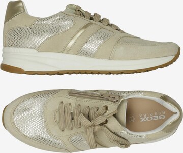 GEOX Sneaker 35 in Mischfarben: Vorderseite