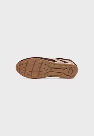 STEVE MADDEN Låg sneaker 'Abbi' i brun