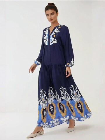 Hiccup Shirt Dress in Blue