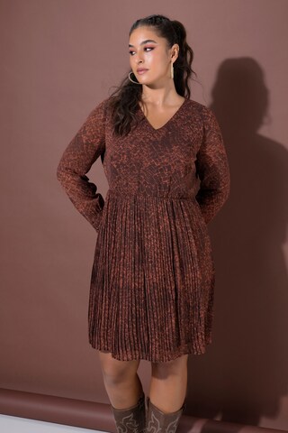 Studio Untold Dress in Brown: front