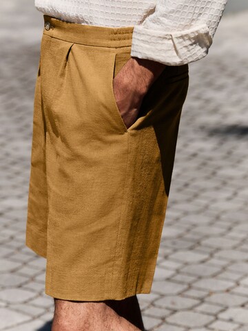 Next Regular Pleated Pants in Brown