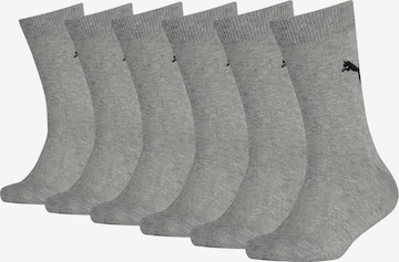 PUMA Socken in Grau: predná strana