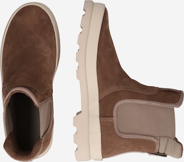 GANT Chelsea boots 'Frenny' in Brown