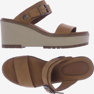 TIMBERLAND Sandals & High-Heeled Sandals in 40 in Brown: front