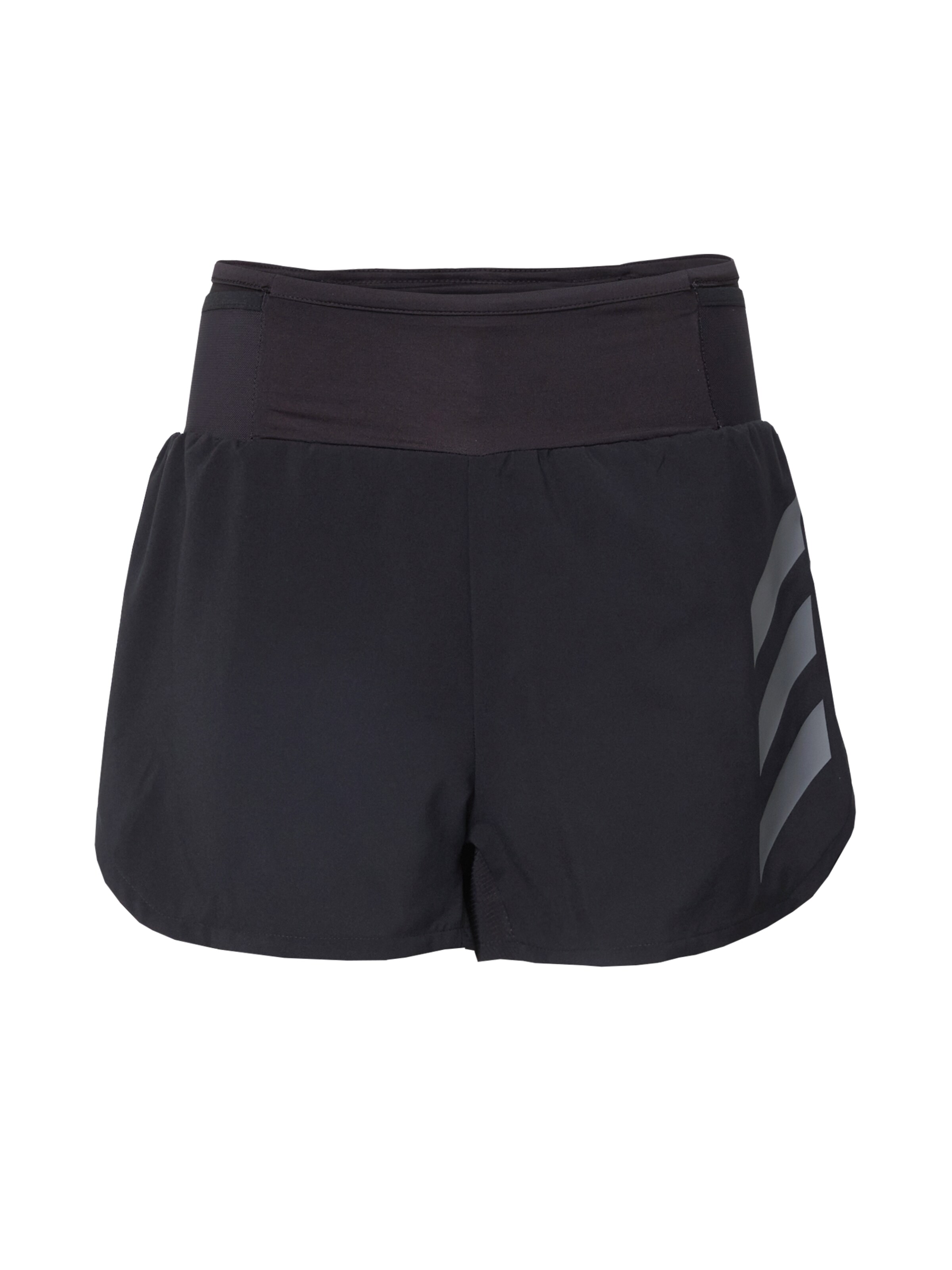 ADIDAS TERREX Regular Sportbroek 'Agravic' in Zwart: voorkant