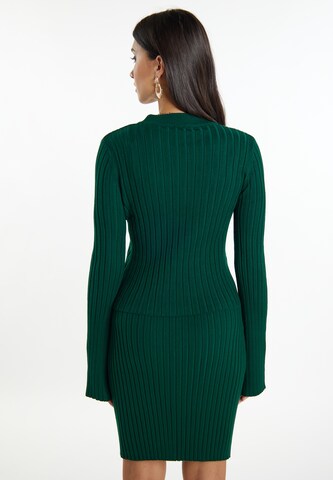 faina Sweater 'Dedica' in Green