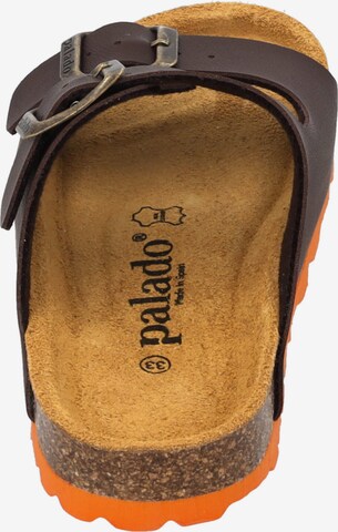 Palado Sandals & Slippers in Brown