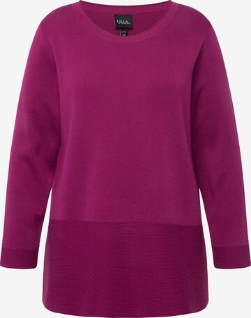 Ulla Popken Sweater in Purple: front