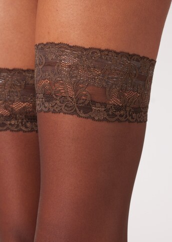 CALZEDONIA Overknee Strümpfe in Braun