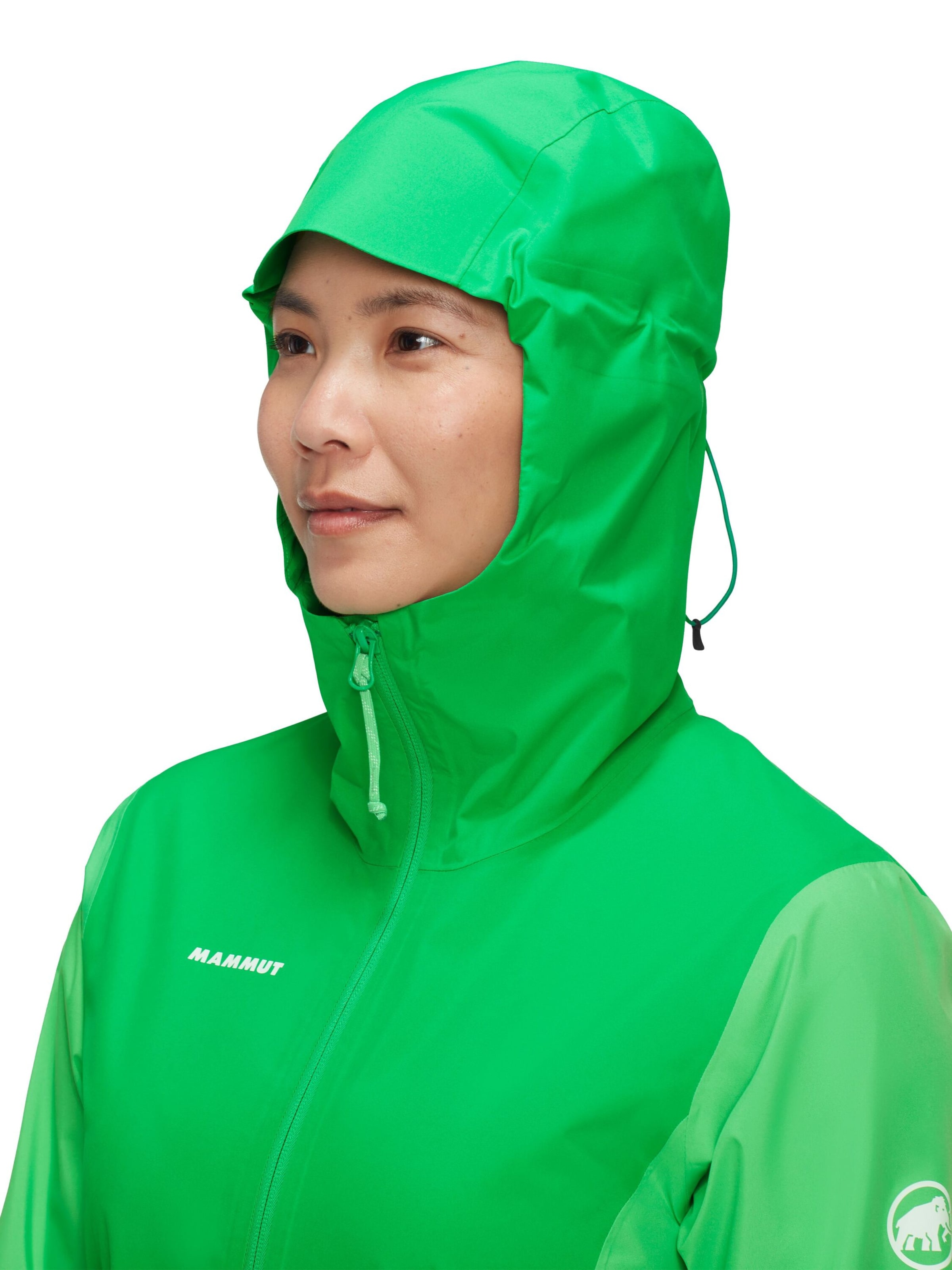 MAMMUT Outdoor Jacket 'Linard Light' in Green