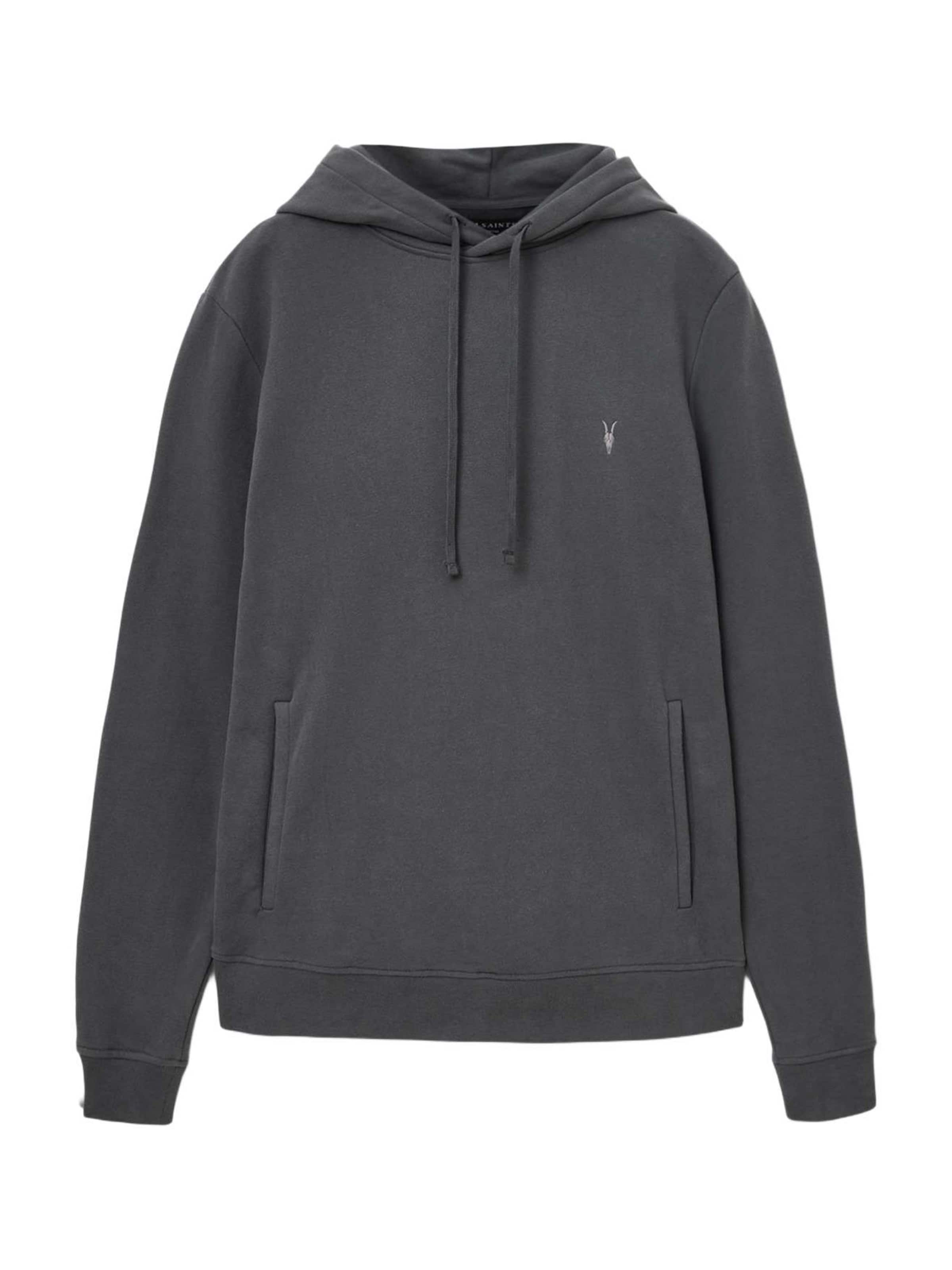 AllSaints Sweatshirt 'Raven' i grå: framsida