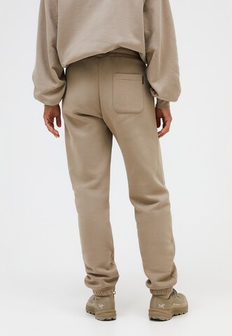 PEAK PERFORMANCE Regular Pants in Brown