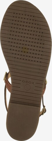 GEOX Sandalen met riem in Bruin