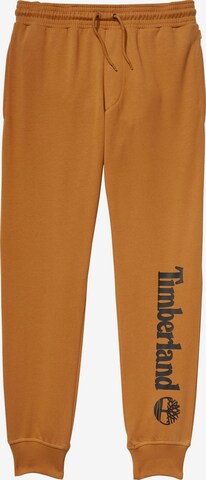 TIMBERLAND Loosefit Hose in Orange: predná strana