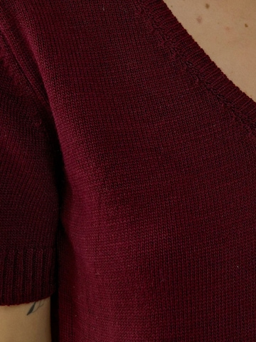 Pull-over 'Pullover' Hiccup en rouge
