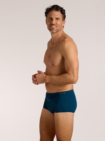 wavebreaker Swim Trunks in Blue