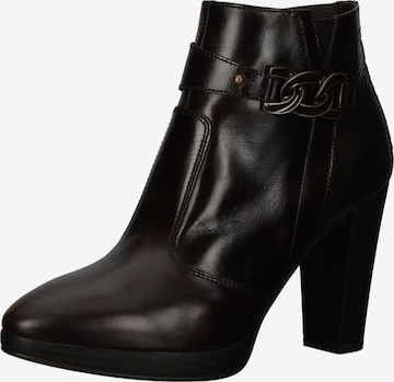 Nero Giardini Booties in Brown: front