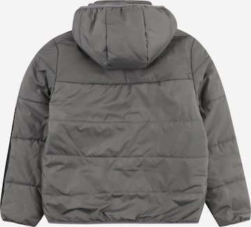 ADIDAS ORIGINALS Winter Jacket 'Adicolor' in Grey