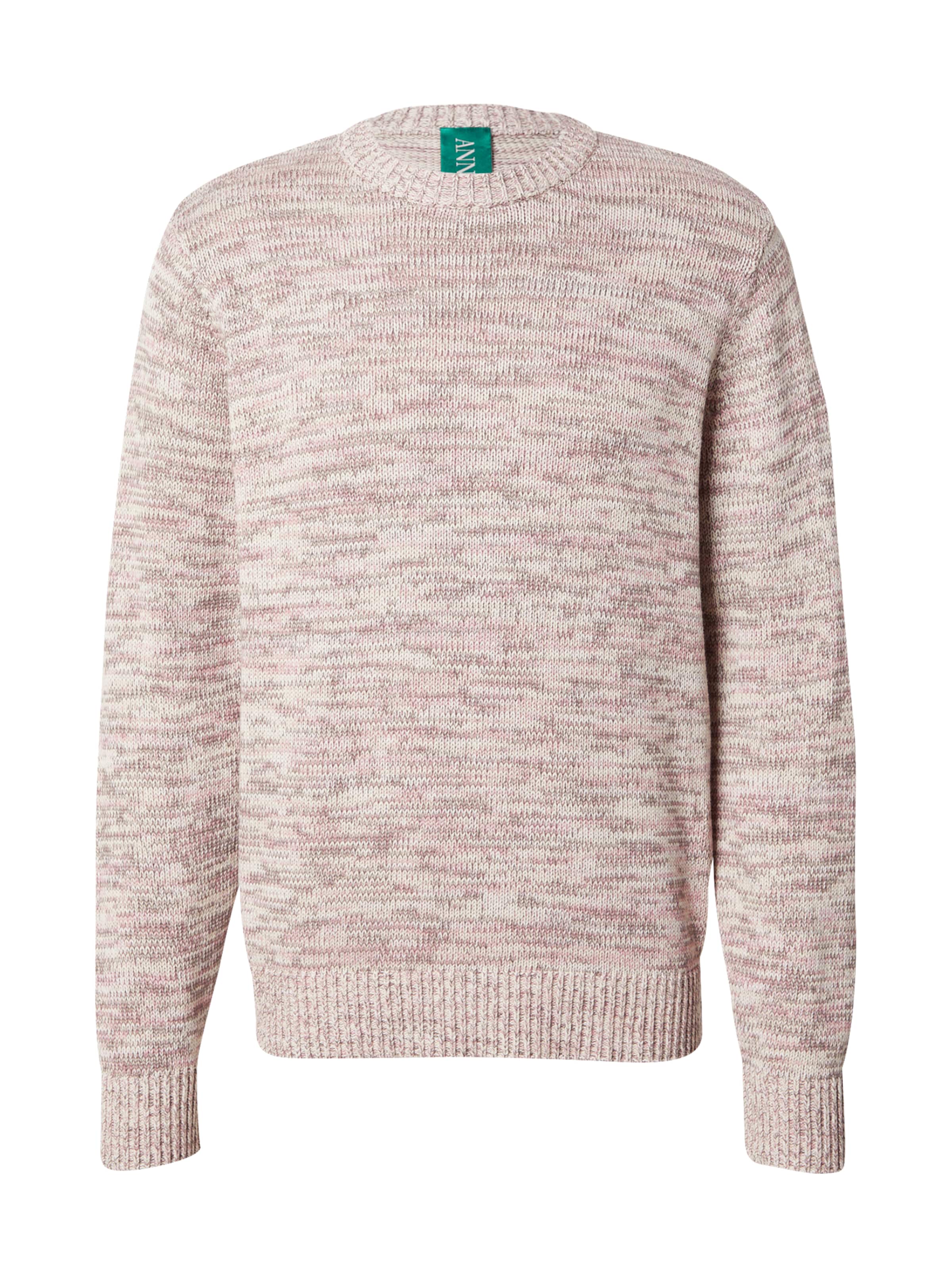 ANNARR Sweater 'ANRJOHAN' in Beige: front