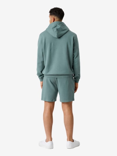 BJÖRN BORG Pull-over en vert, Vue avec produit