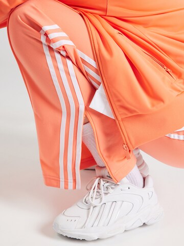 ADIDAS ORIGINALS Normalny krój Spodnie 'Adicolor Classics Firebird' w kolorze pomarańczowy