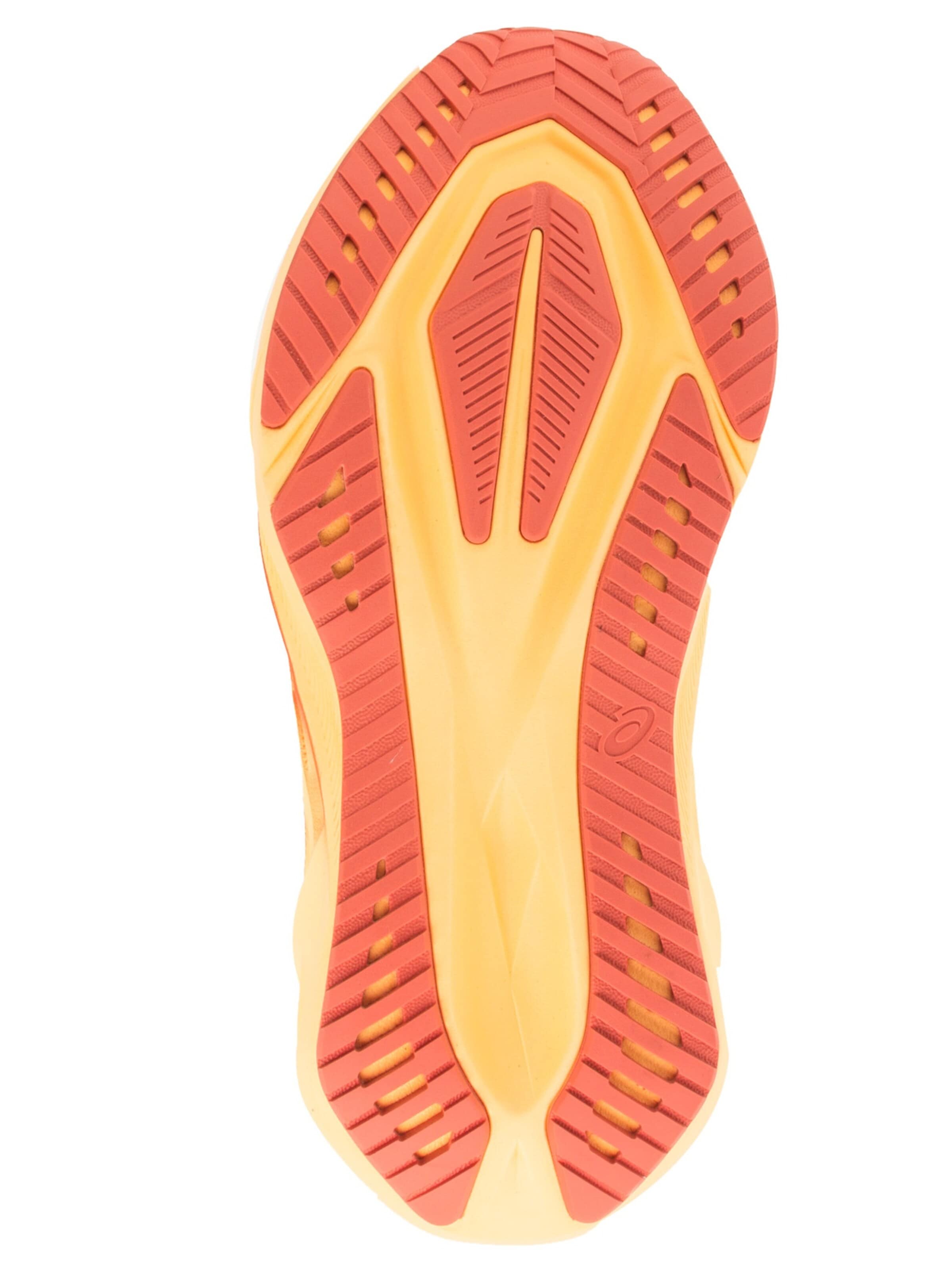 ASICS Laufschuh 'ASICS Novablast 5'‌‌‌ in Rot