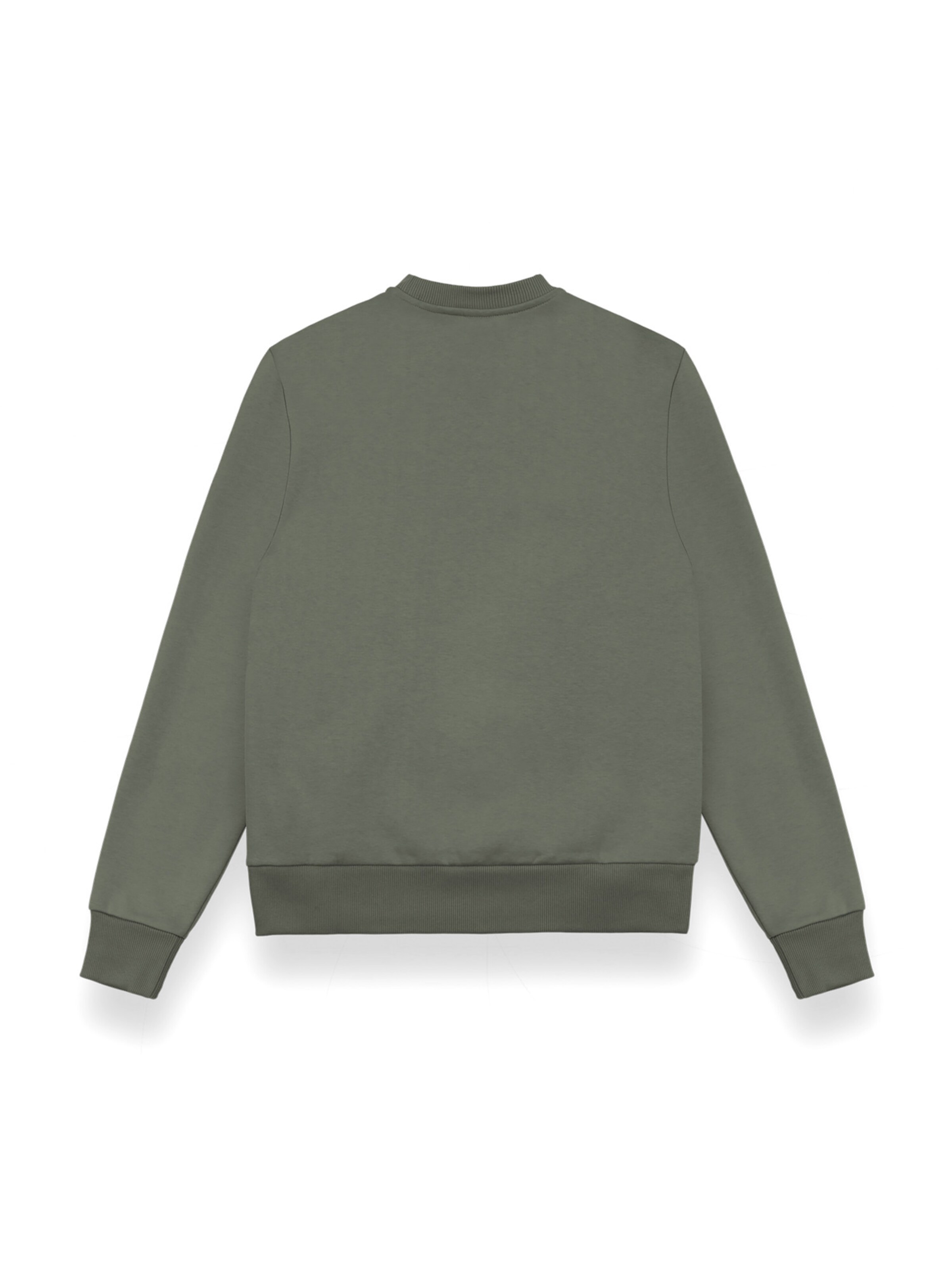Colmar Sweatshirt in Green
