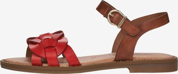 REMONTE Sandals in Brown