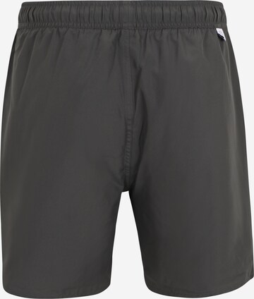 ADIDAS SPORTSWEAR Sportbadehose in Grau