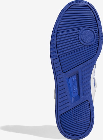 ADIDAS SPORTSWEAR High-Top Sneakers in Blue