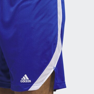 ADIDAS SPORTSWEAR Regular Workout Pants 'Icon Squad' in Blue