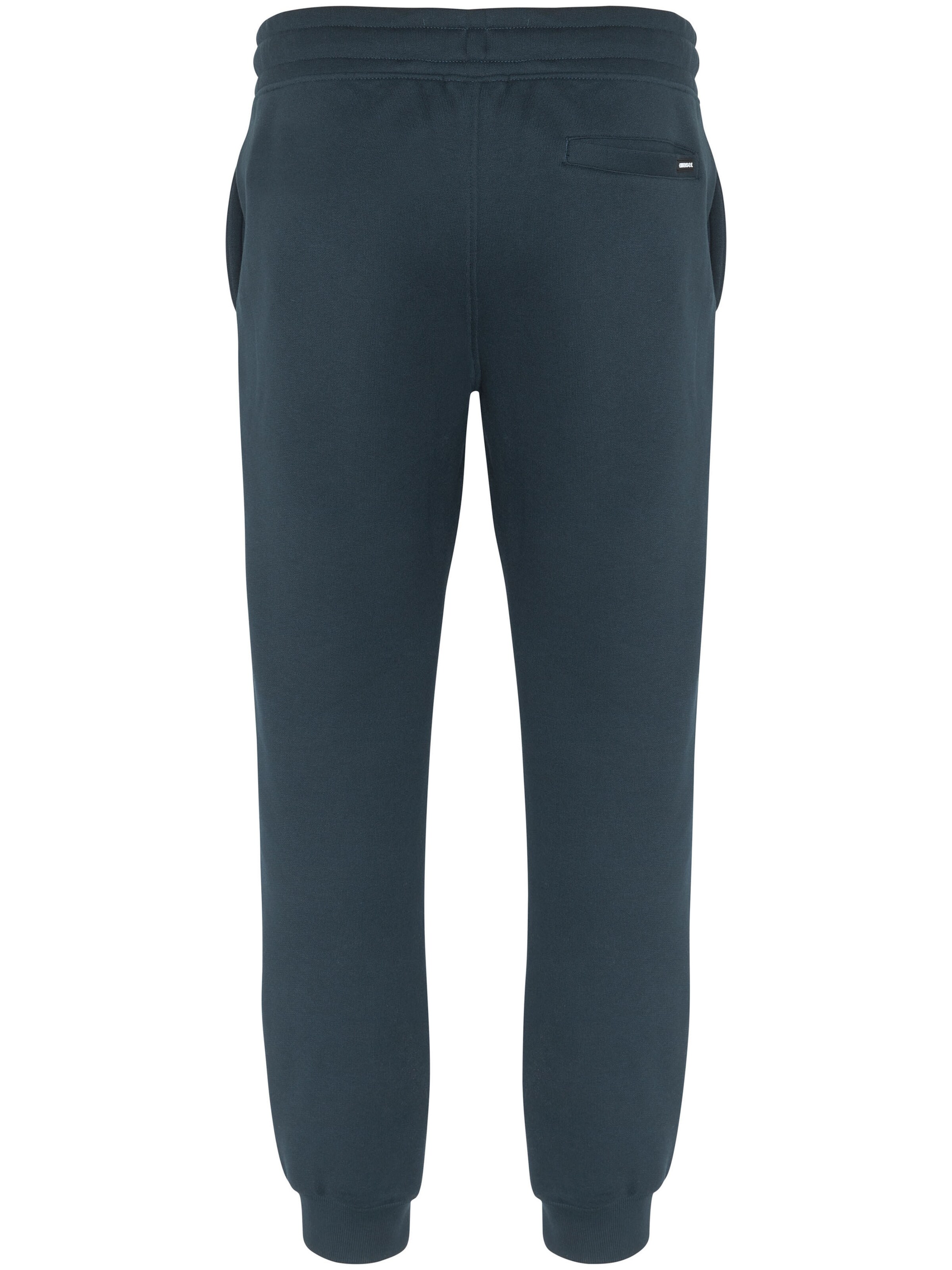 CHIEMSEE Tapered Hose in Blau