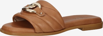 SCAPA Mules in Brown: front