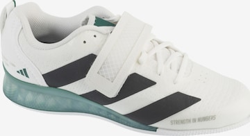 ADIDAS PERFORMANCE Sports shoe 'adidas Weightlifting 3' in White: front