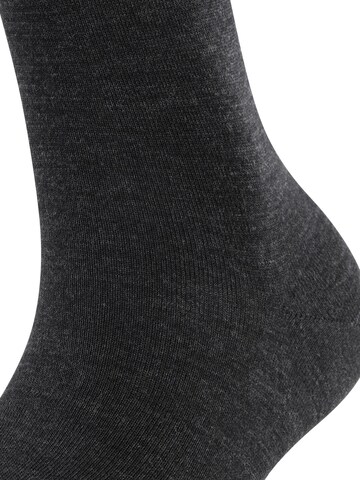 FALKE Knee High Socks 'Softmerino' in Grey