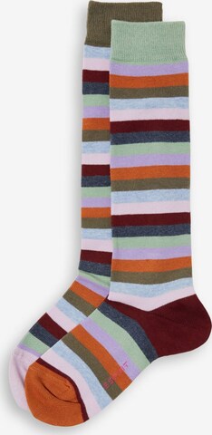 Chaussettes ESPRIT en mélange de couleurs : devant