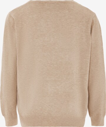 ALARY Pullover in Beige