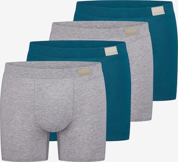 SLOGGI Boxer shorts 'men GO Natural' in Mixed colors: front