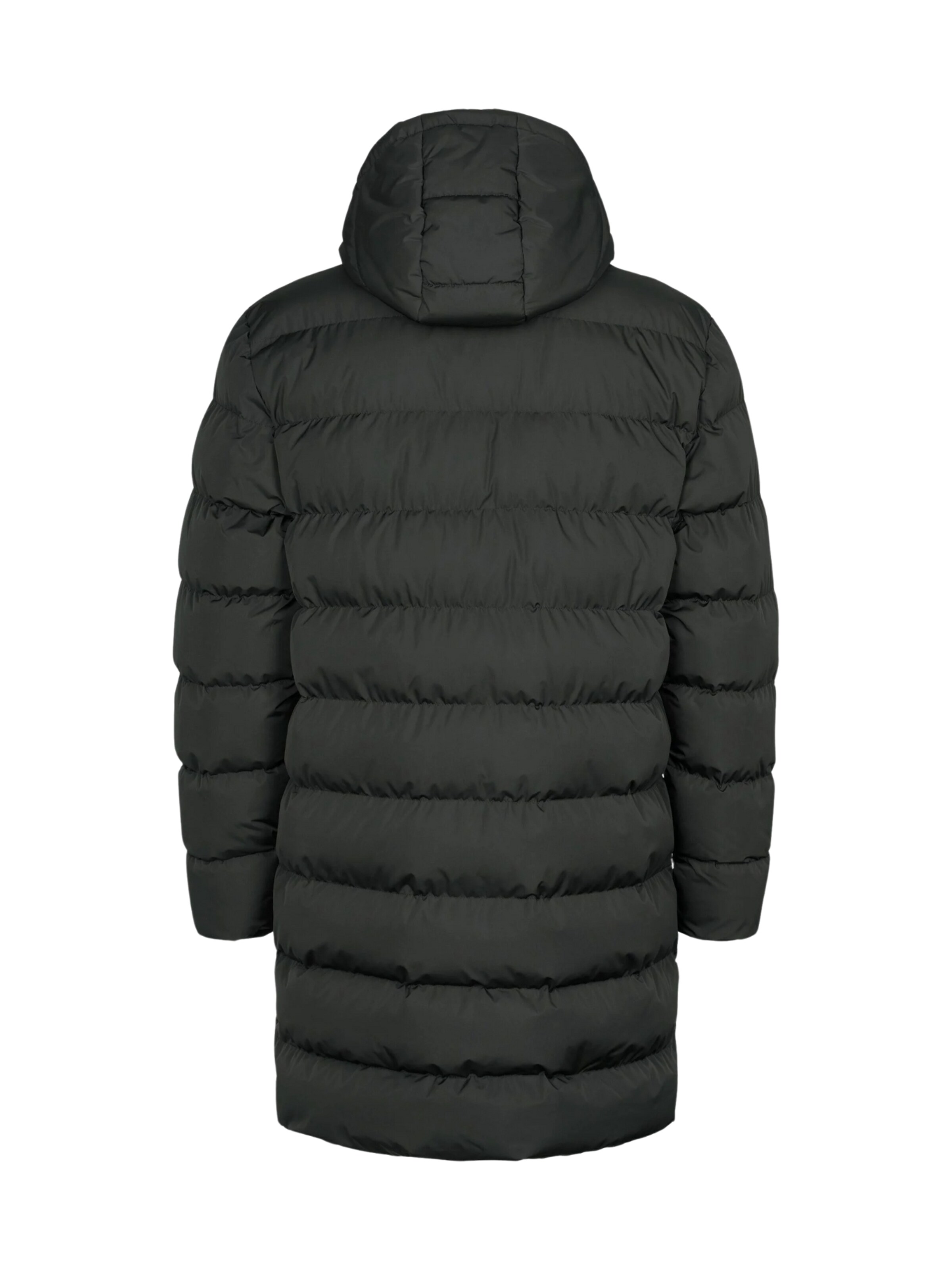 U.S. POLO ASSN. Wintermantel 'Albert ' in Zwart