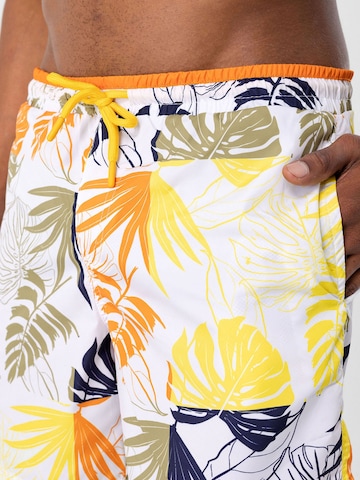 Pantaloncini da bagno di Daniel Hills in colori misti