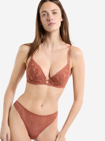 ETAM Push-up Bra 'Aura' in Brown