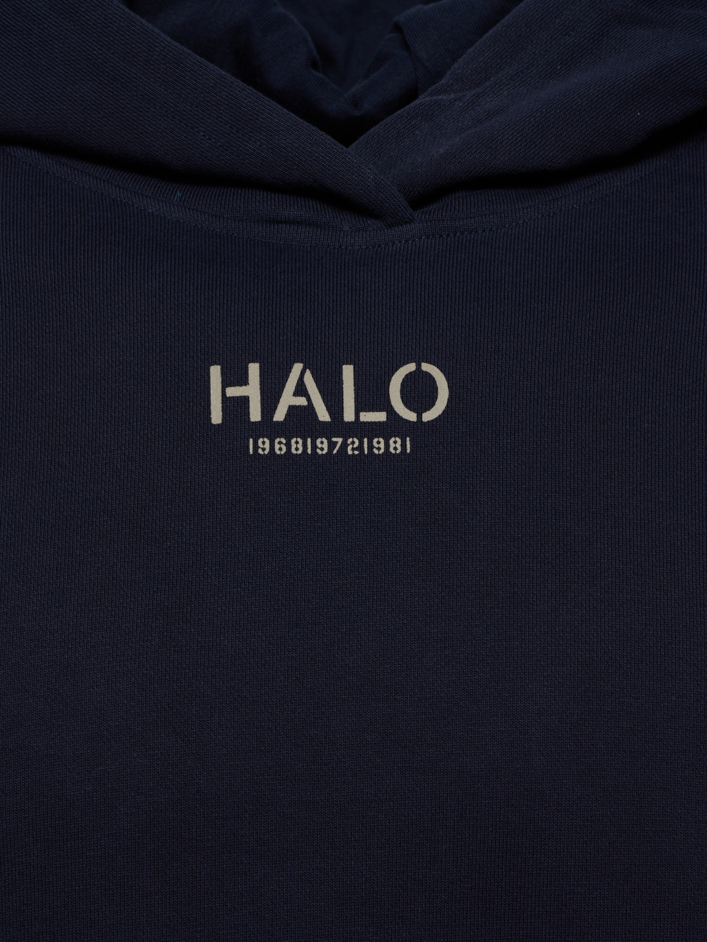 HALO Sweatshirt in Blue
