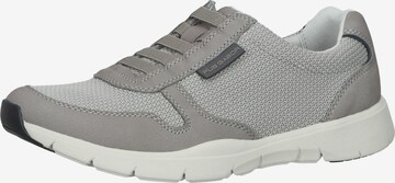 Pius Gabor Sneakers laag in Grijs: voorkant