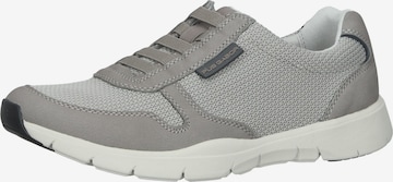 Sneaker bassa di Pius Gabor in grigio: frontale