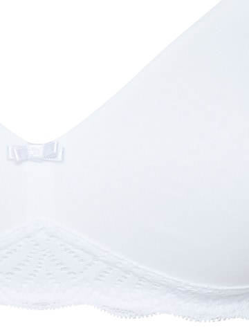 SUSA Classic Bra 'Nizza' in White