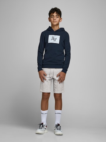 Jack & Jones Junior Regular Shorts in Grau