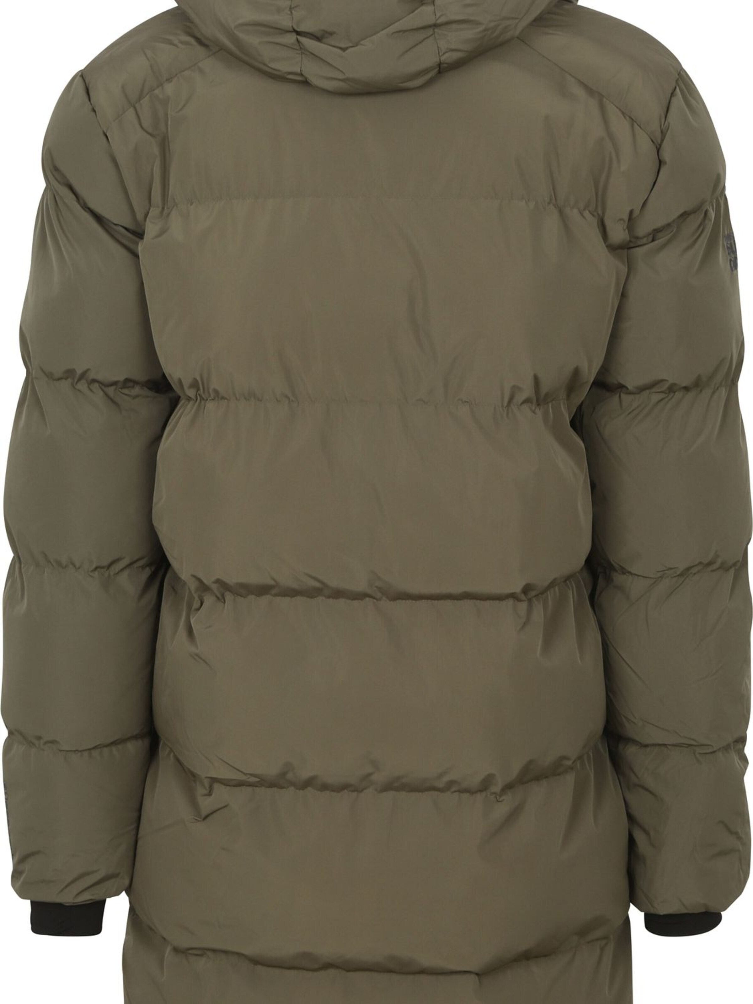 Superdry Winter coat in Green