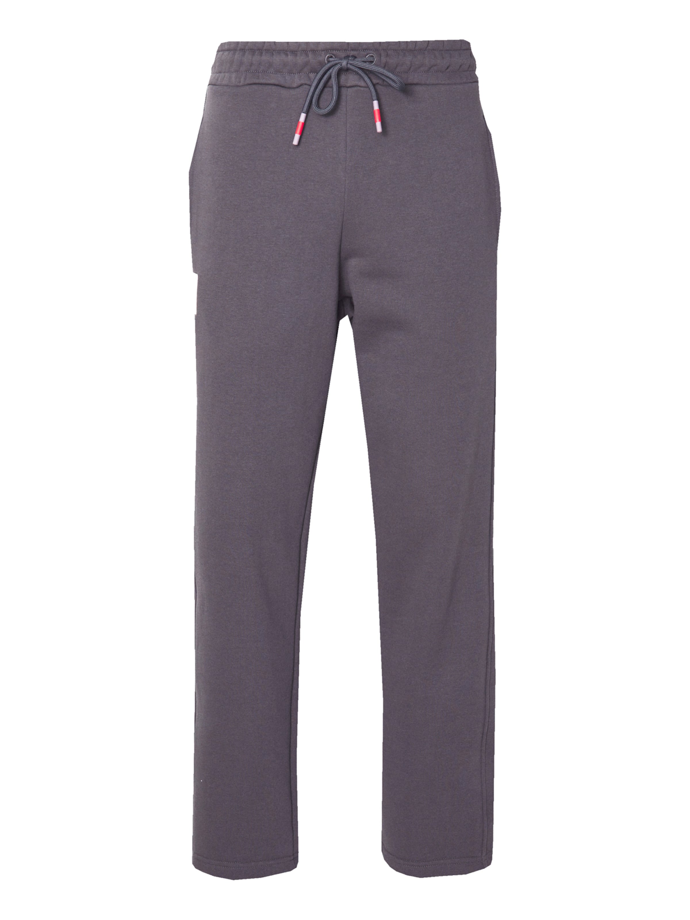 Loosefit Pantalon 'Studio Edition' ALPHA INDUSTRIES en gris : devant