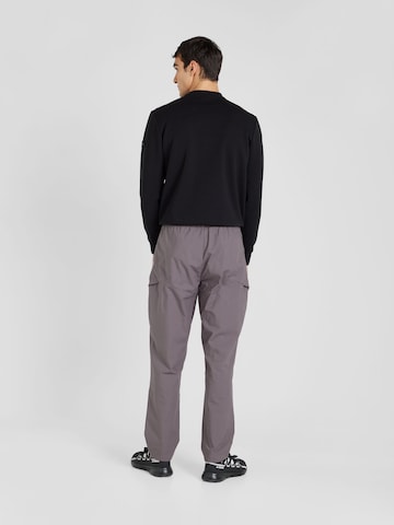 regular Pantaloni per outdoor 'Xploric' di ADIDAS TERREX in grigio