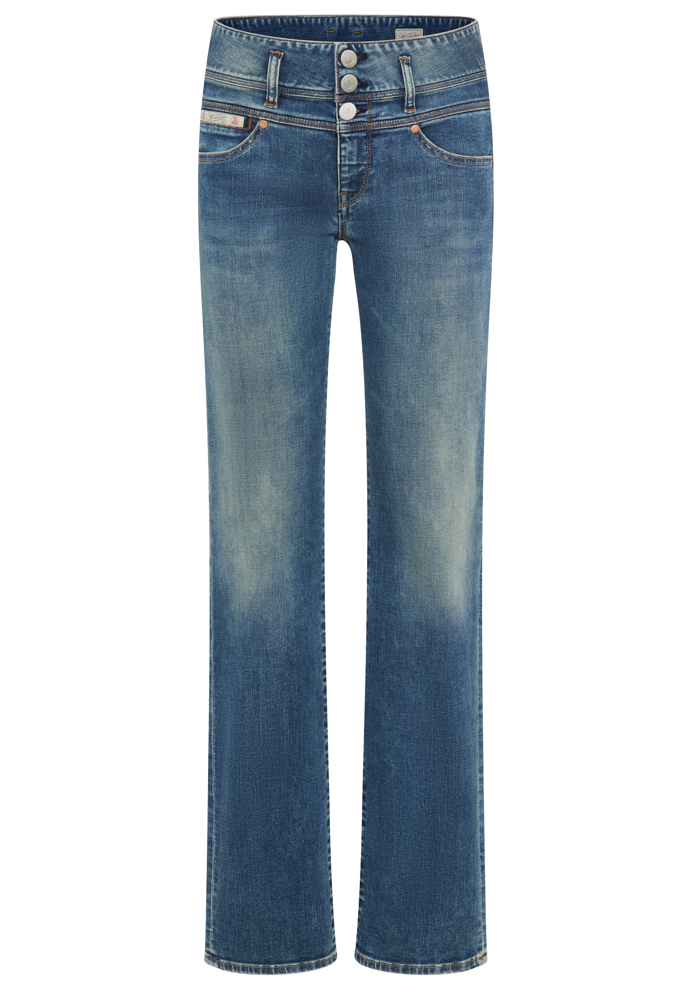 Herrlicher Regular Jeans in Blue: front